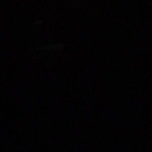 Meet your Posher, Henry